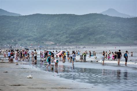 寧波哪裏的沙灘好玩——探索寧波海岸的樂趣與風情